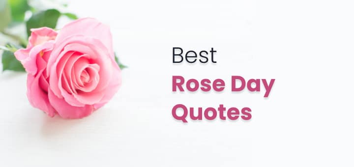 60 Best Rose Day Quotes For Your Loved Ones [Handpicked] 1